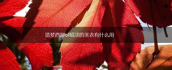 造梦西游ol暗淡的圣衣有什么用,第1张