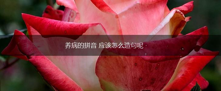 养病的拼音 应该怎么造句呢,第1张