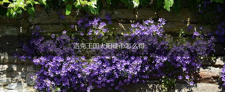 洛克王国太阳硬币怎么得,第1张