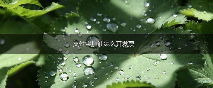 支付宝加油怎么开发票,第1张