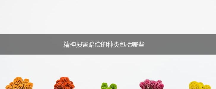 精神损害赔偿的种类包括哪些,第1张