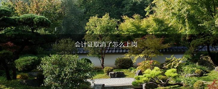 会计证取消了怎么上岗,第1张