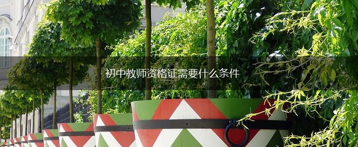 初中教师资格证需要什么条件,第1张