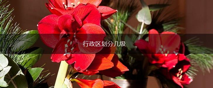 行政区划分几级,第1张