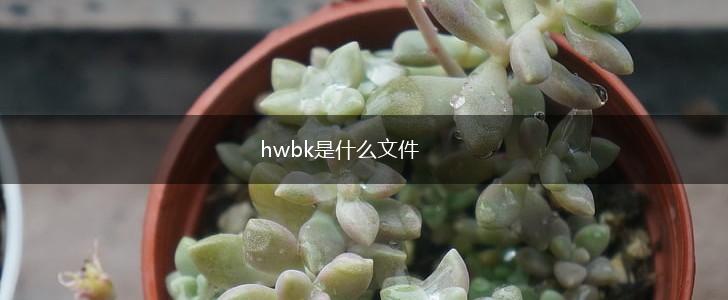 hwbk是什么文件,第1张