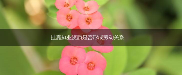 挂靠执业资质是否形成劳动关系,第1张