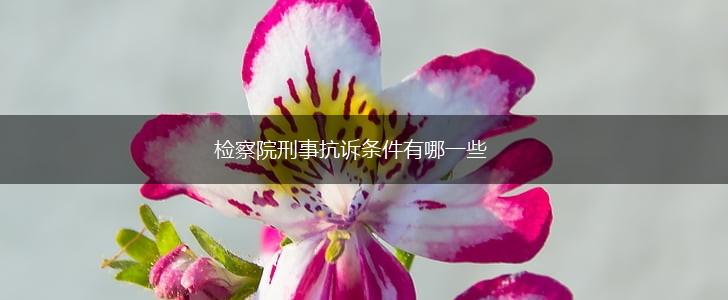 检察院刑事抗诉条件有哪一些,第1张