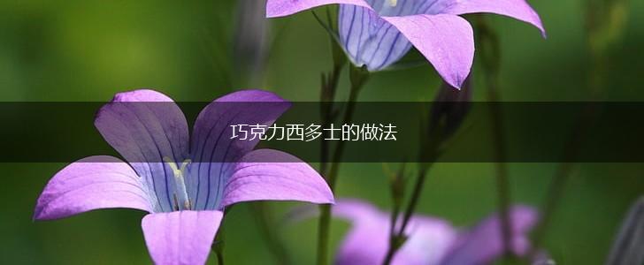 巧克力西多士的做法,第1张
