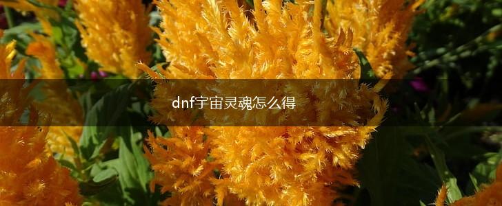 dnf宇宙灵魂怎么得,第1张