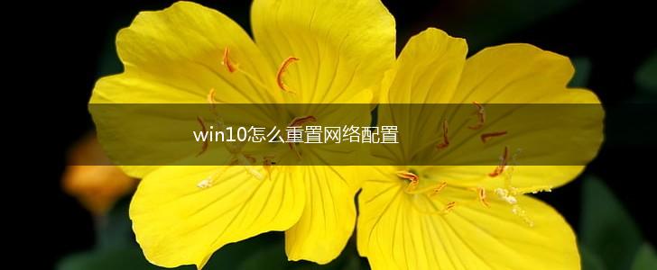 win10怎么重置网络配置,第1张