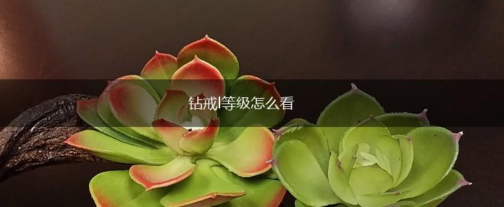 钻戒l等级怎么看,第1张