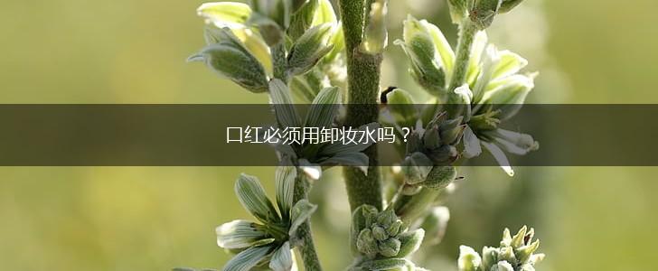 口红必须用卸妆水吗？,第1张