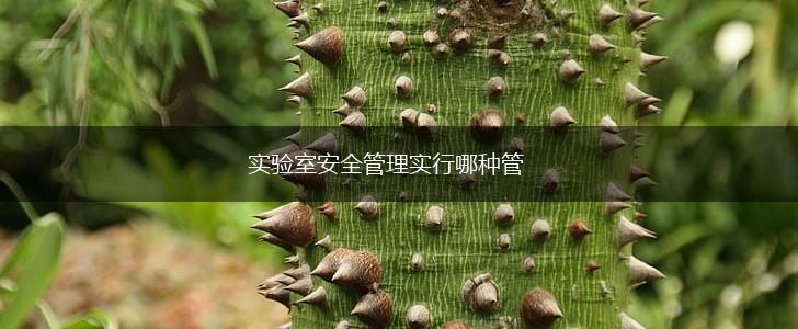 实验室安全管理实行哪种管,第1张