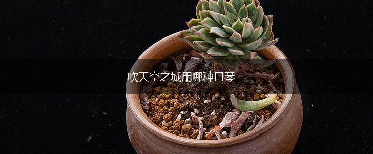 吹天空之城用哪种口琴,第1张