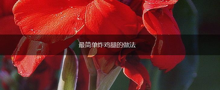 最简单炸鸡腿的做法,第1张