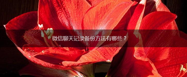 微信聊天记录备份方法有哪些？,第1张