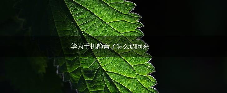 华为手机静音了怎么调回来,第1张