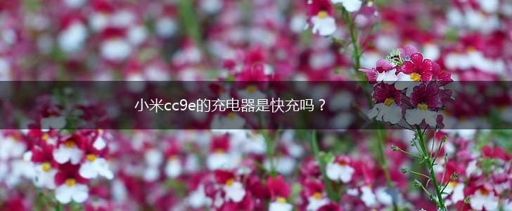 小米cc9e的充电器是快充吗？,第1张