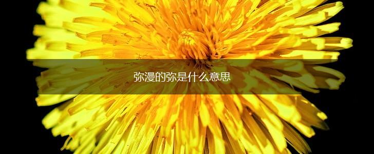 弥漫的弥是什么意思,第1张