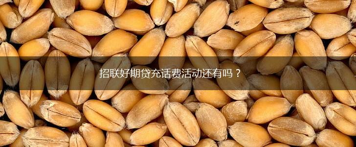 招联好期贷充话费活动还有吗？,第1张