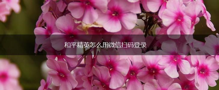 和平精英怎么用微信扫码登录,第1张