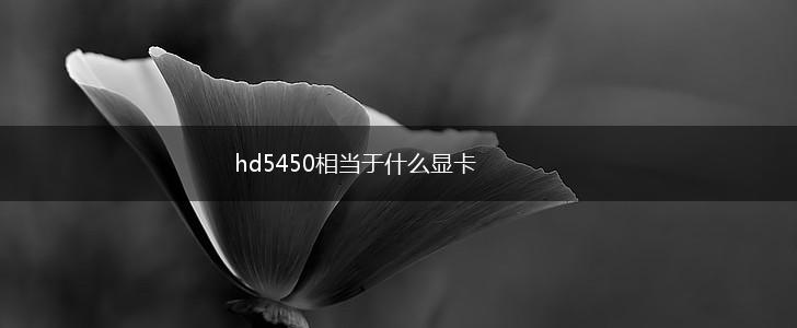 hd5450相当于什么显卡,第1张