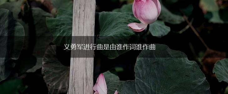 义勇军进行曲是由谁作词谁作曲,第1张