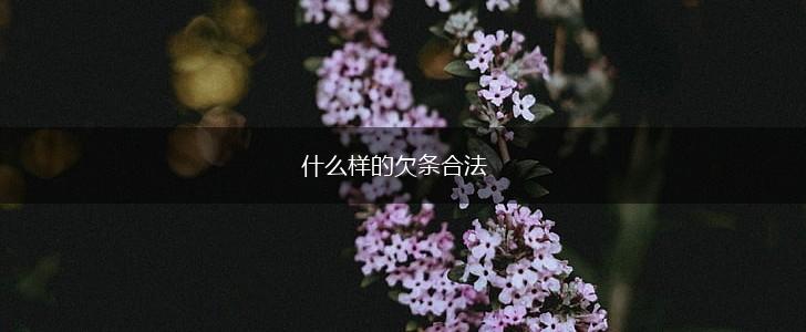 什么样的欠条合法,第1张