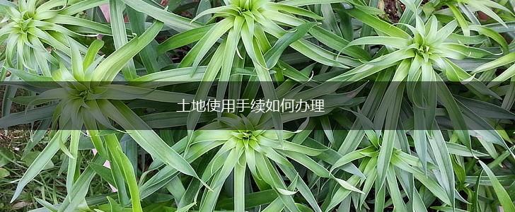 土地使用手续如何办理,第1张