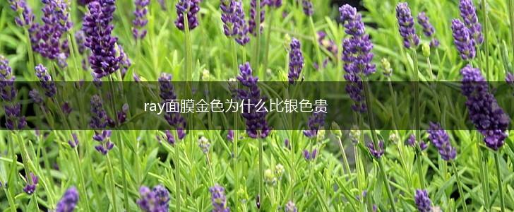 ray面膜金色为什么比银色贵,第1张