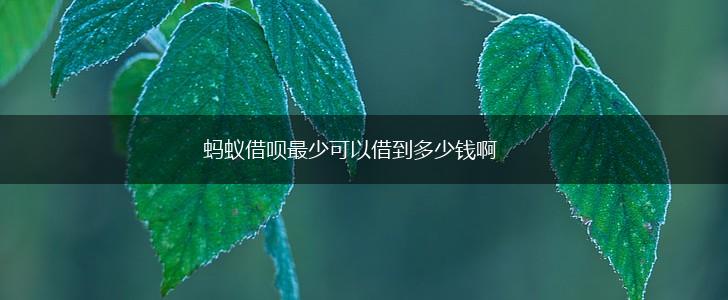 蚂蚁借呗最少可以借到多少钱啊,第1张