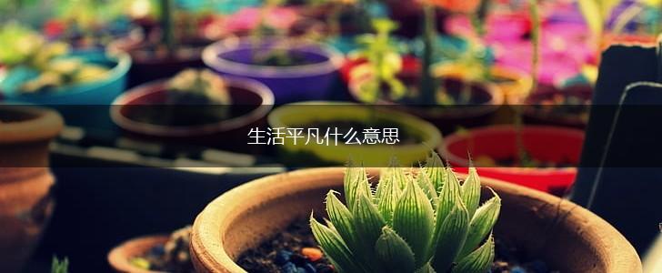 生活平凡什么意思,第1张