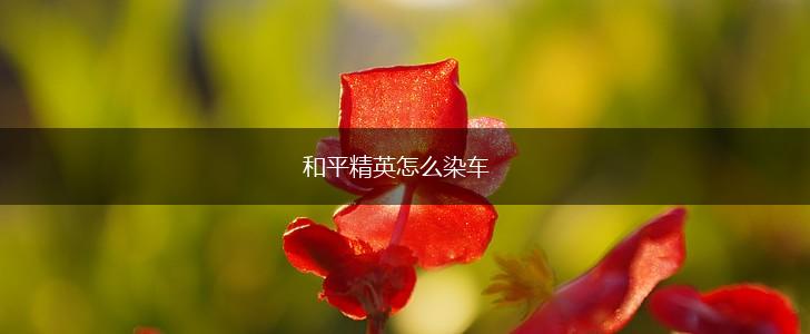 和平精英怎么染车,第1张