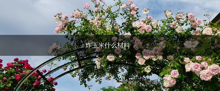 炸玉米什么材料,第1张