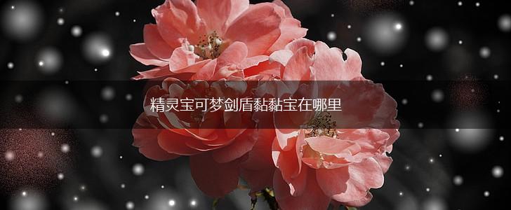精灵宝可梦剑盾黏黏宝在哪里,第1张