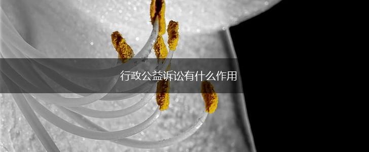 行政公益诉讼有什么作用,第1张