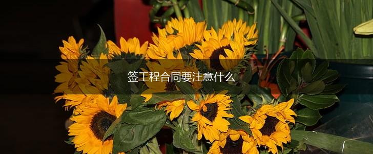 签工程合同要注意什么,第1张
