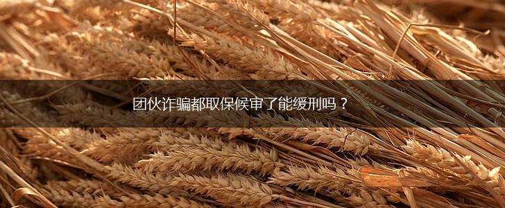 团伙诈骗都取保候审了能缓刑吗？,第1张