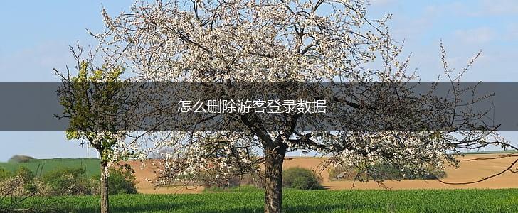 怎么删除游客登录数据,第1张