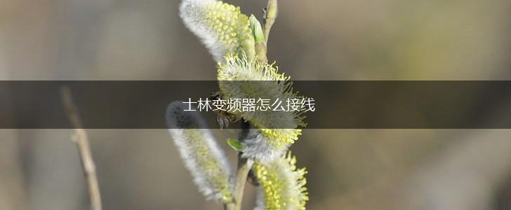 士林变频器怎么接线,第1张