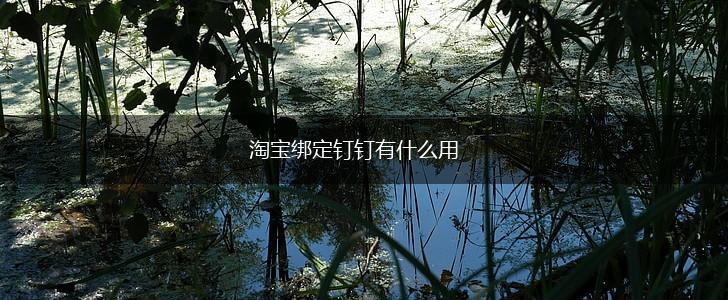 淘宝绑定钉钉有什么用,第1张