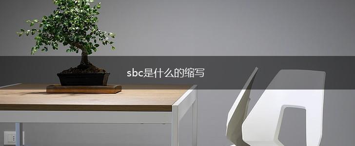 sbc是什么的缩写,第1张