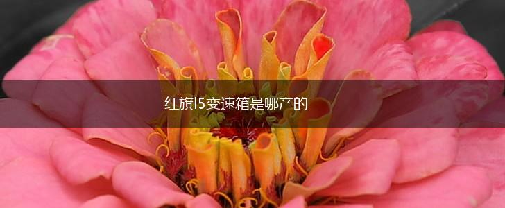 红旗l5变速箱是哪产的,第1张