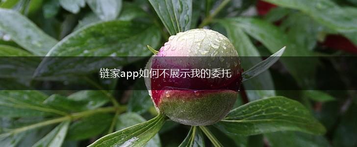 链家app如何不展示我的委托,第1张