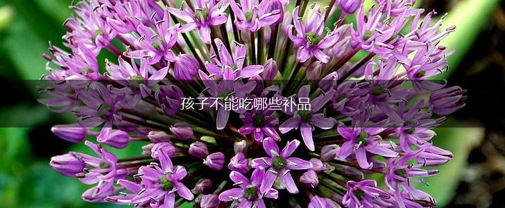 孩子不能吃哪些补品,第1张