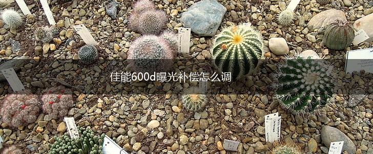 佳能600d曝光补偿怎么调,第1张