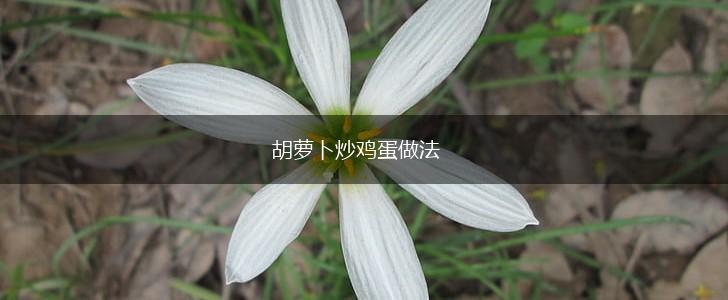 胡萝卜炒鸡蛋做法,第1张