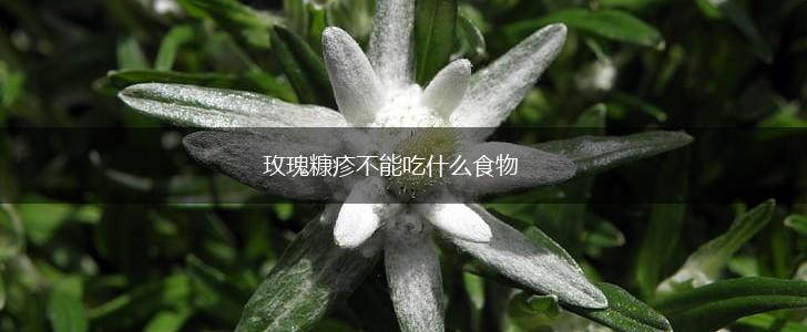 玫瑰糠疹不能吃什么食物,第1张