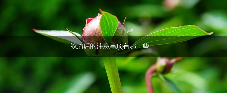 纹眉后的注意事项有哪一些,第1张