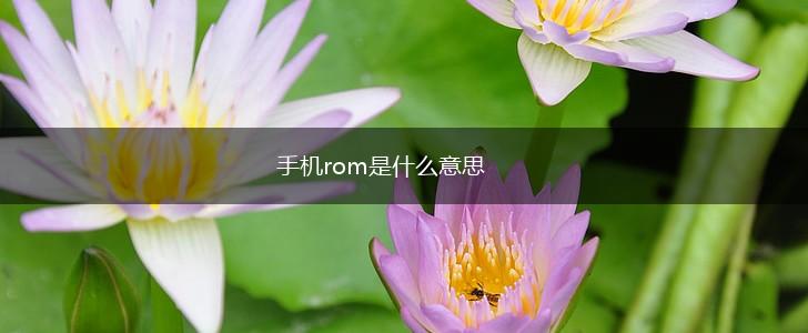 手机rom是什么意思,第1张
